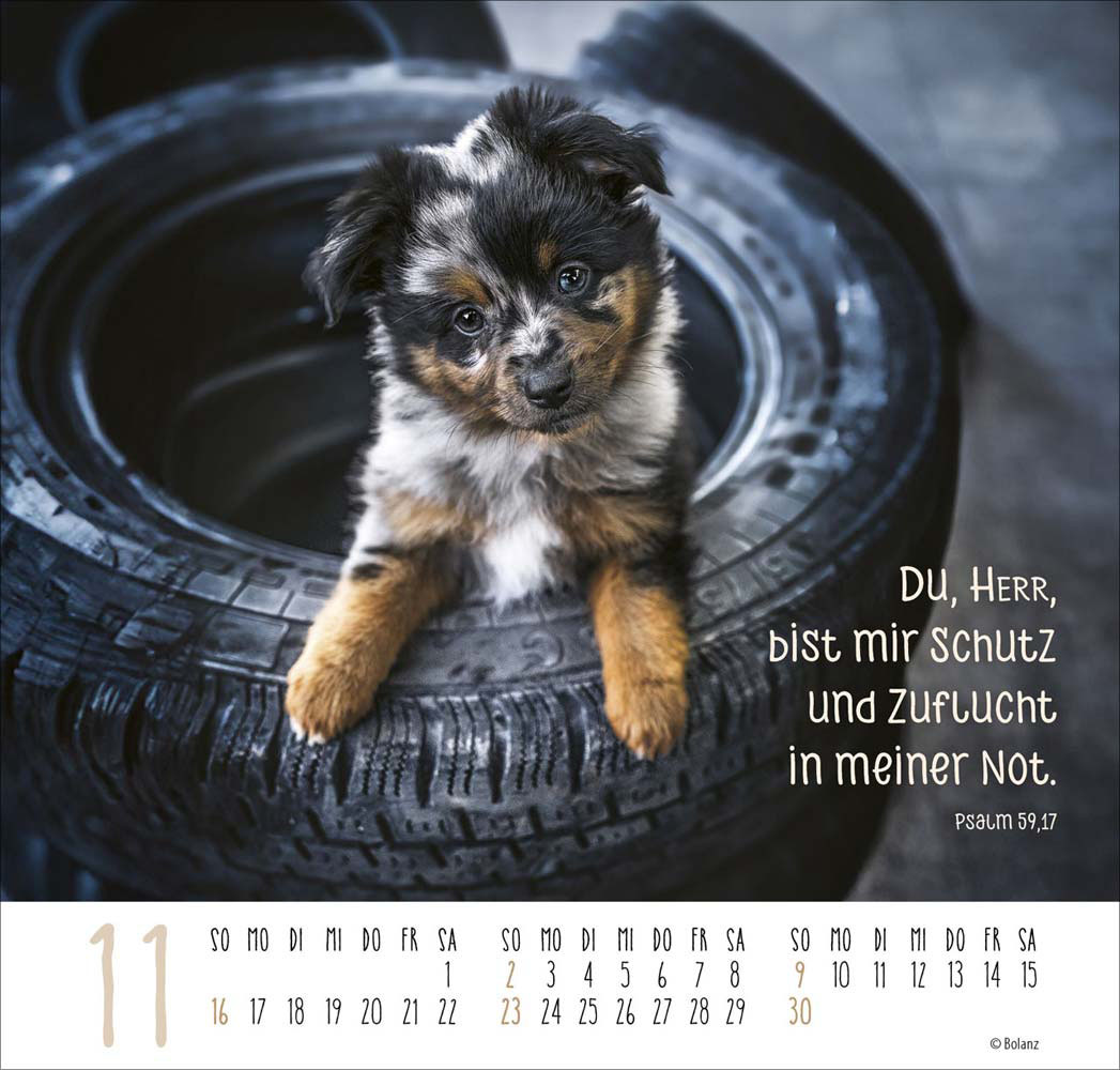 Beste Freunde - Ich mag dich  2025 - Posterkalender