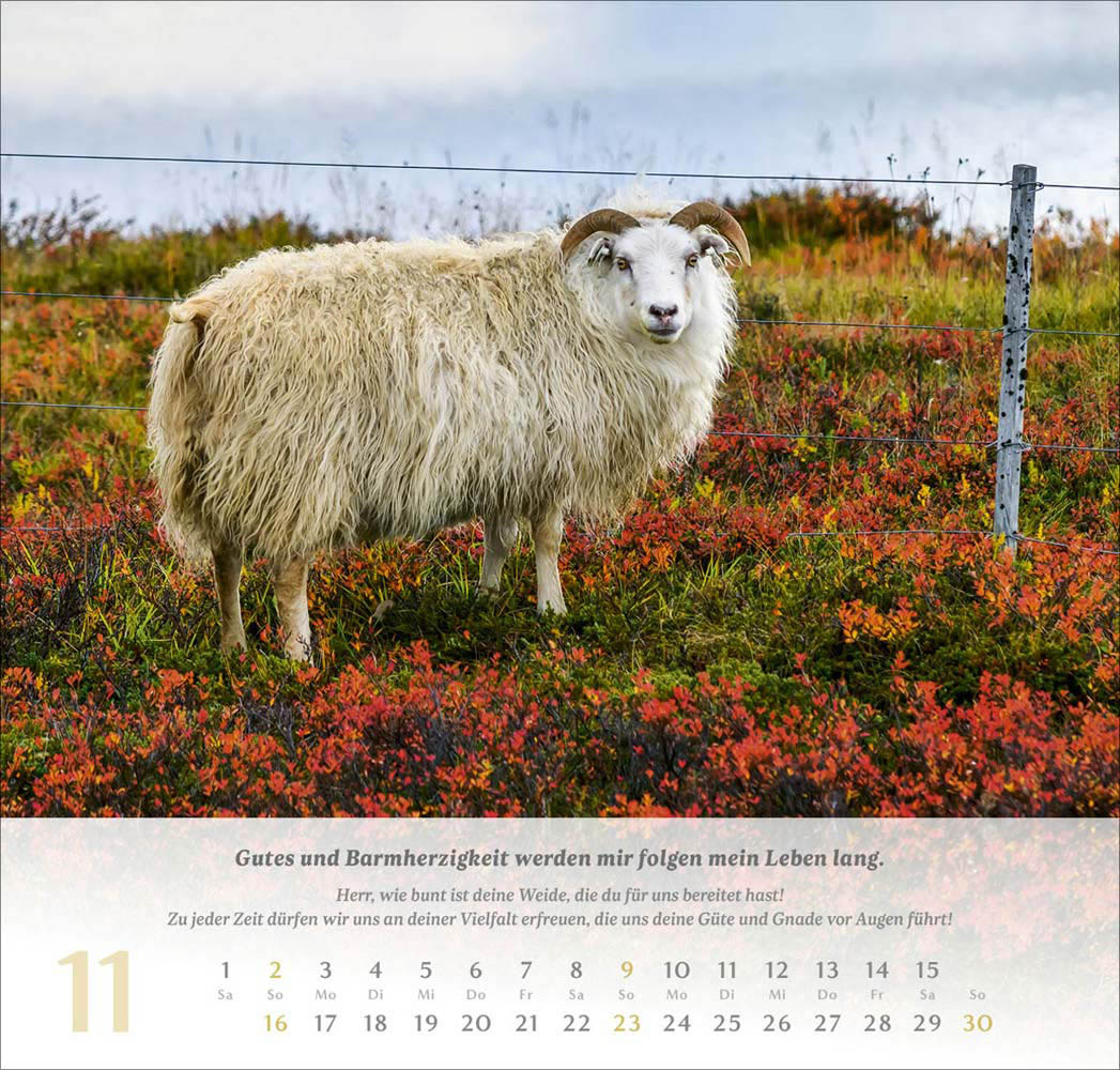 Psalm 23 - Wandkalender 2025