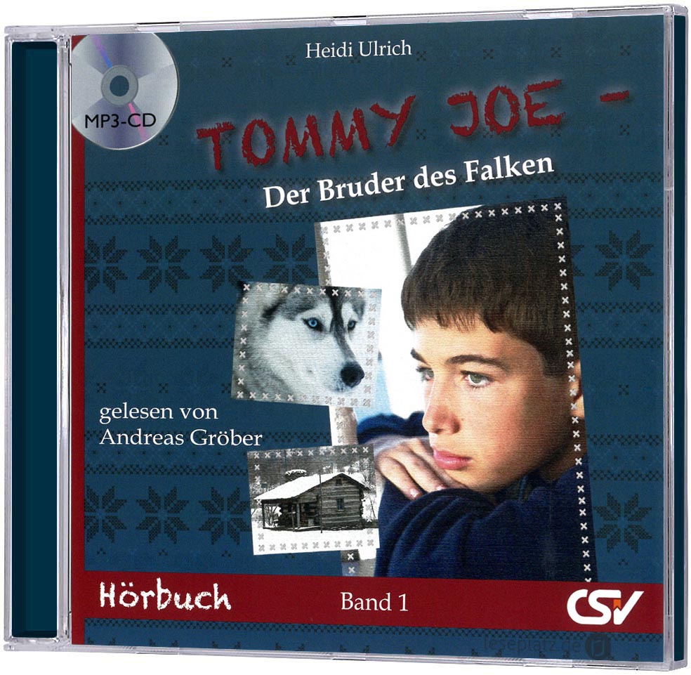 Tommy Joe (1) - Der Bruder des Falken - Hörbuch