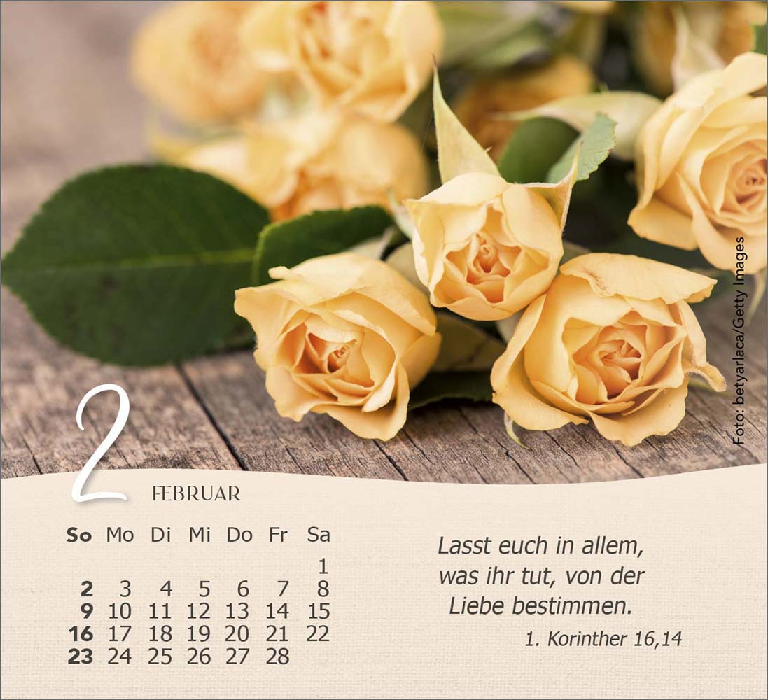 Rosen 2025 - Tischkalender