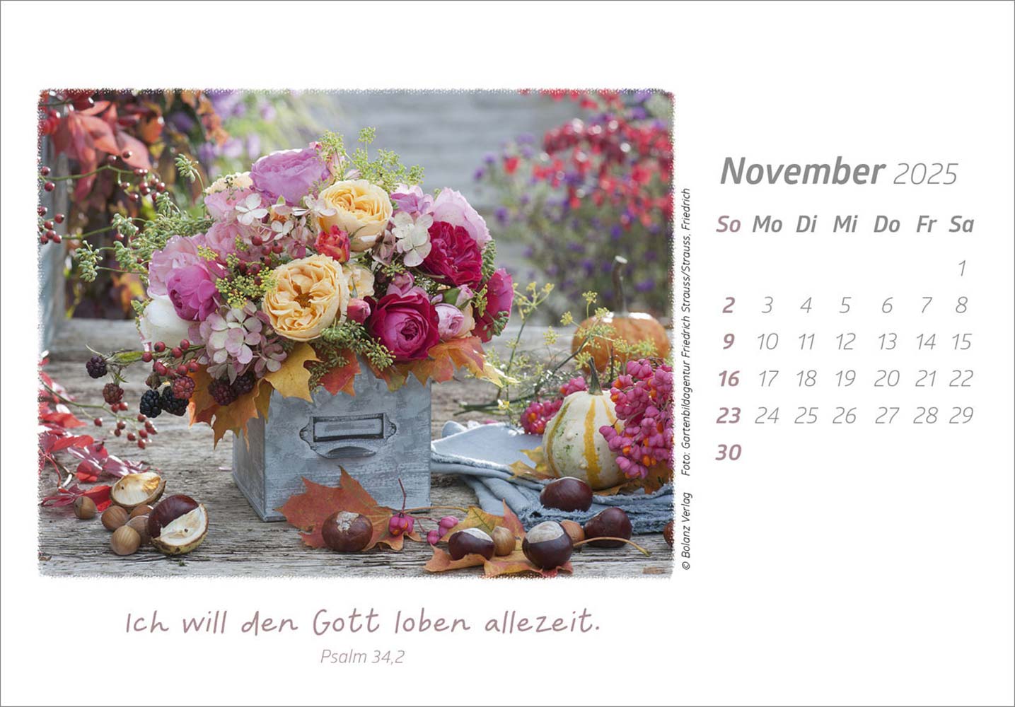 Die Güte Gottes preisen 2025 - Aufstellkalender