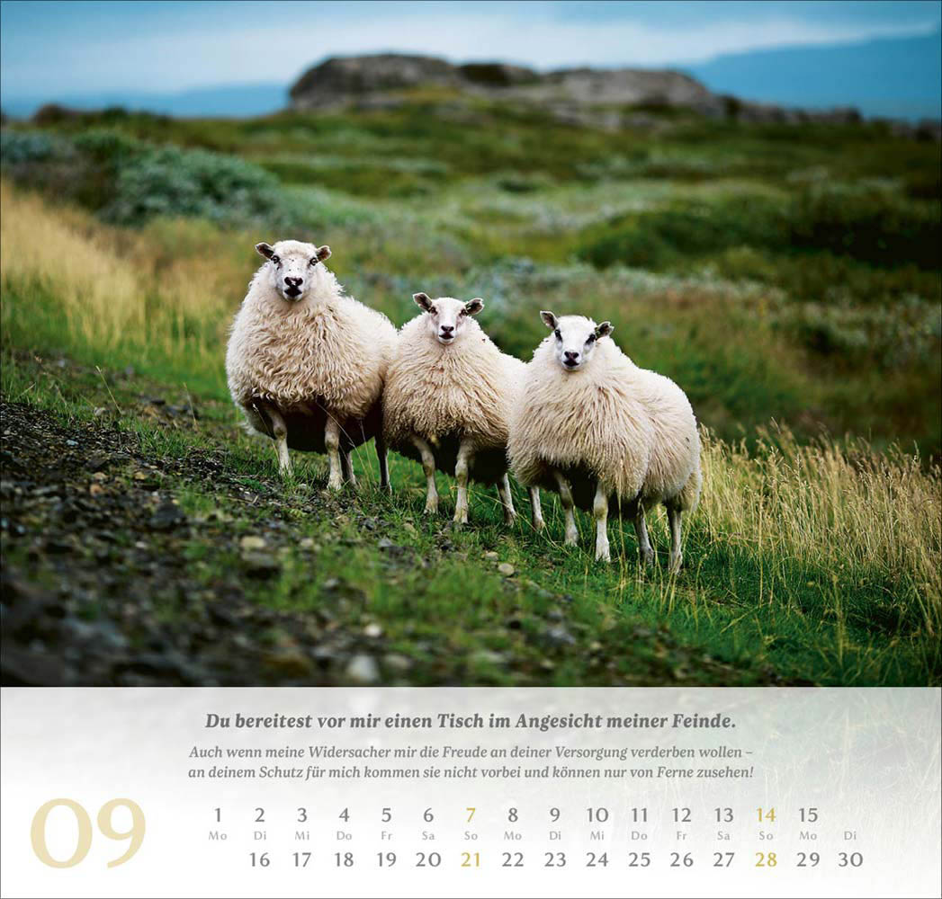 Psalm 23 - Wandkalender 2025