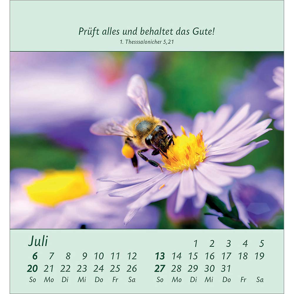 Kleine Blumengrüße 2025 - Aufstellkalender