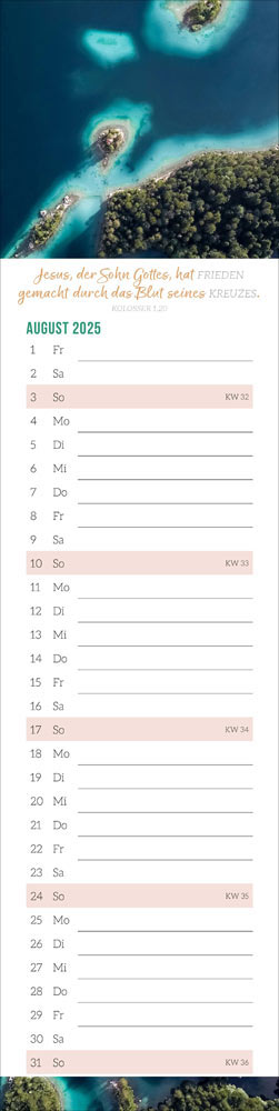 Mit Zuversicht 2025 - Streifenkalender