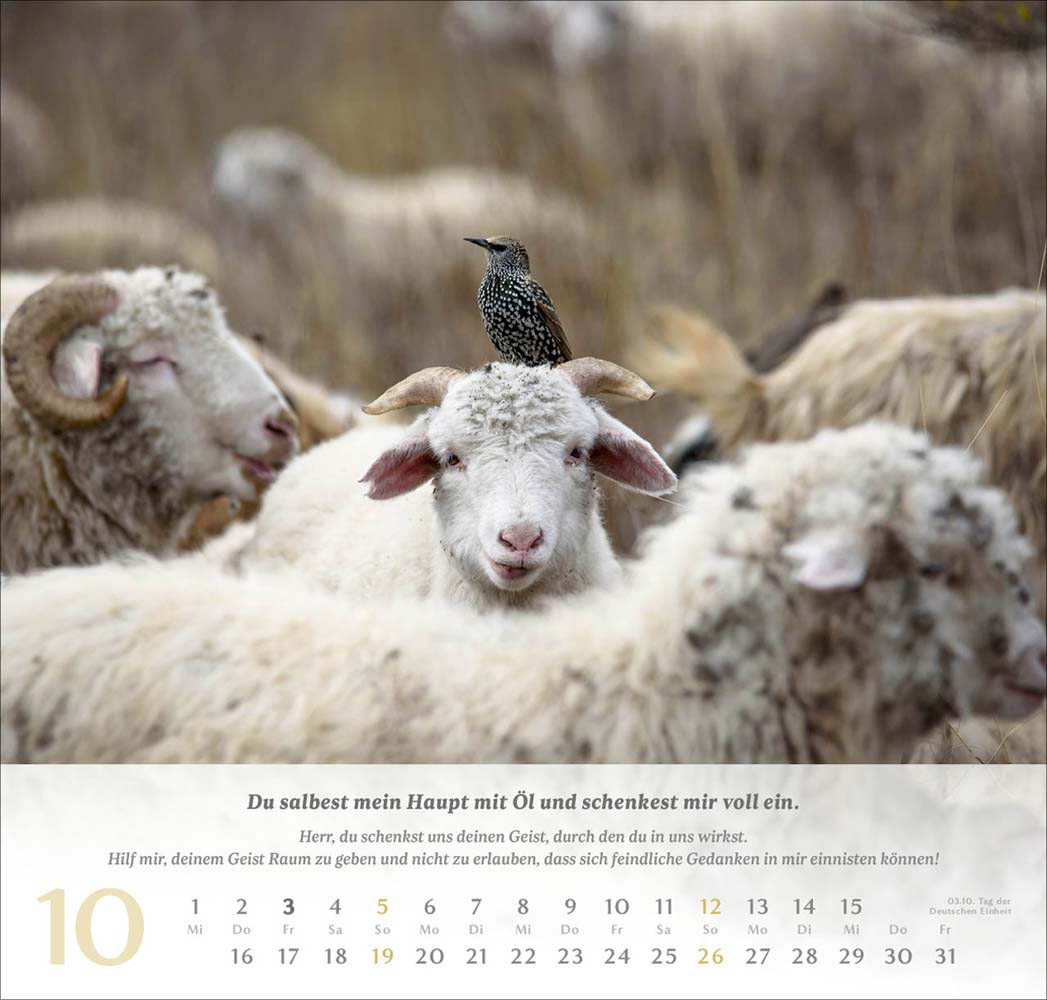 Psalm 23 - Wandkalender 2025