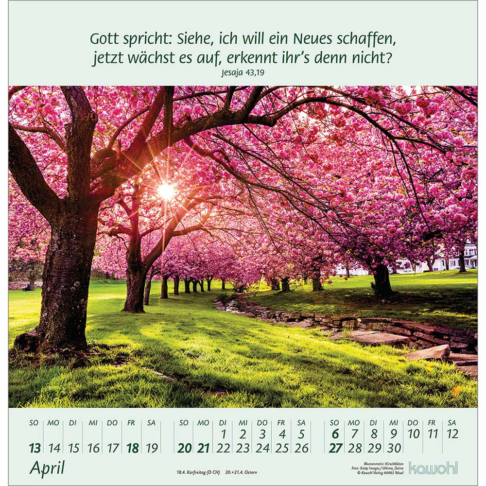 Blumengrüße 2025 - Wandkalender