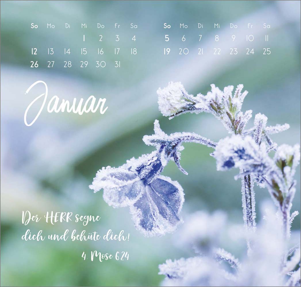 Zarte Blumengrüße 2025 - Wandkalender