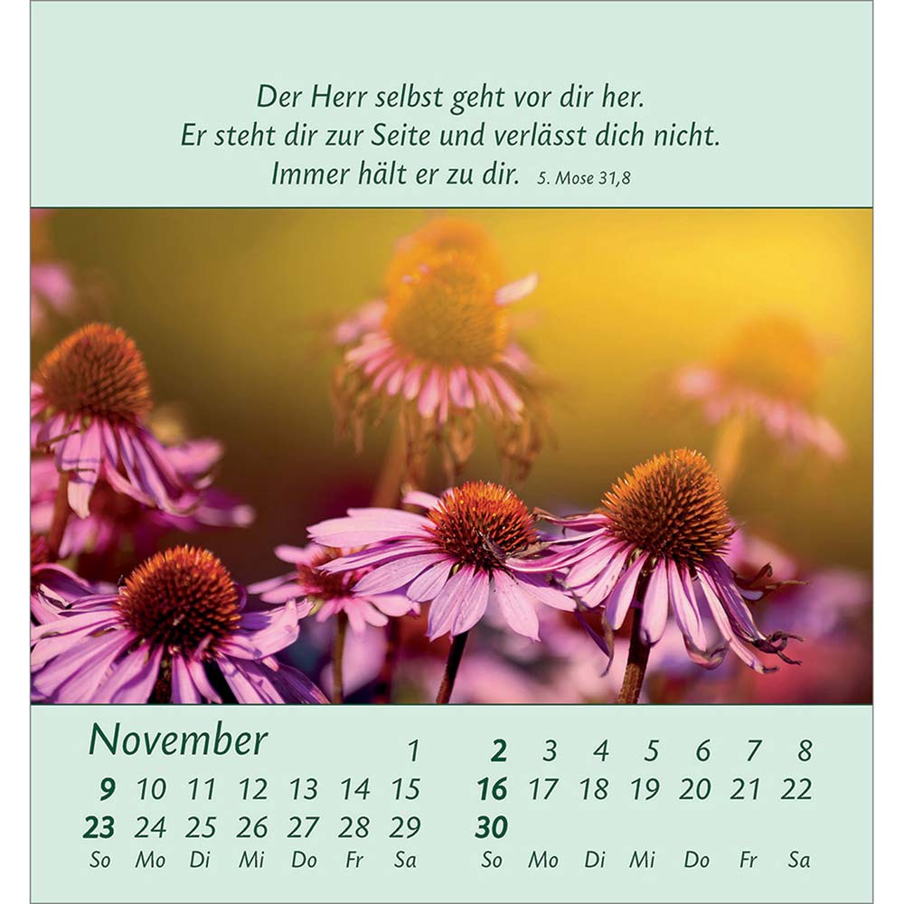 Kleine Blumengrüße 2025 - Aufstellkalender