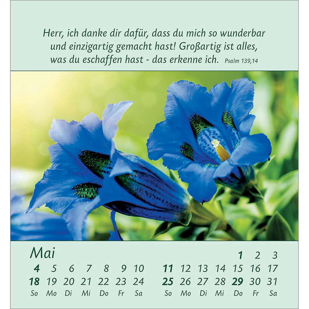 Kleine Blumengrüße 2025 - Aufstellkalender