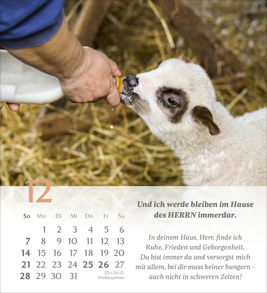 Psalm 23 - Tischkalender 2025