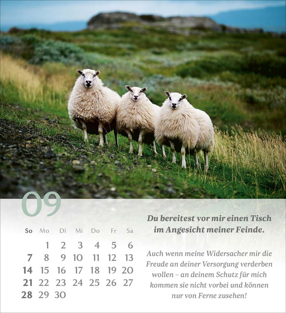 Psalm 23 - Tischkalender 2025