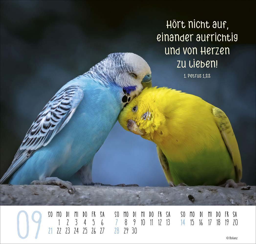 Beste Freunde - Ich mag dich  2025 - Posterkalender