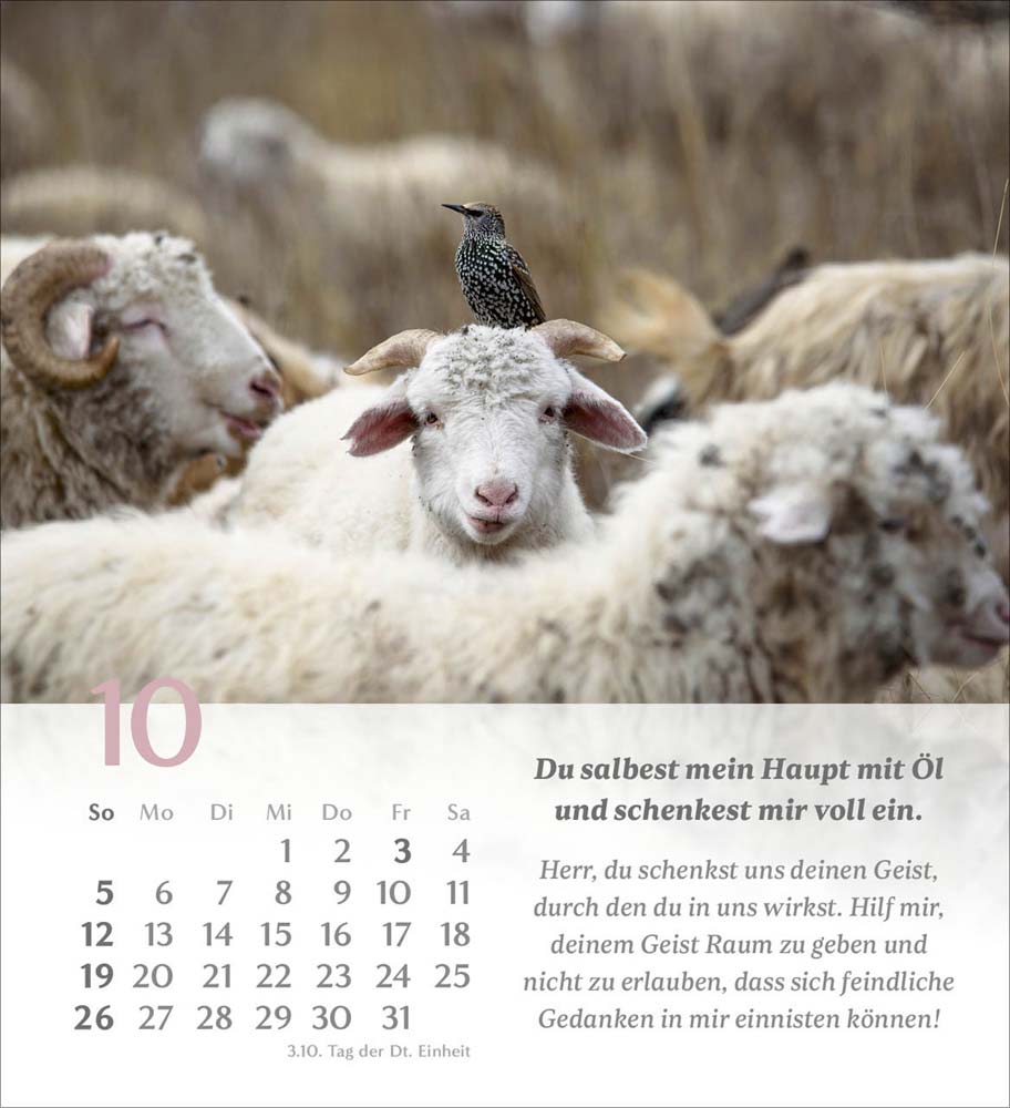 Psalm 23 - Tischkalender 2025