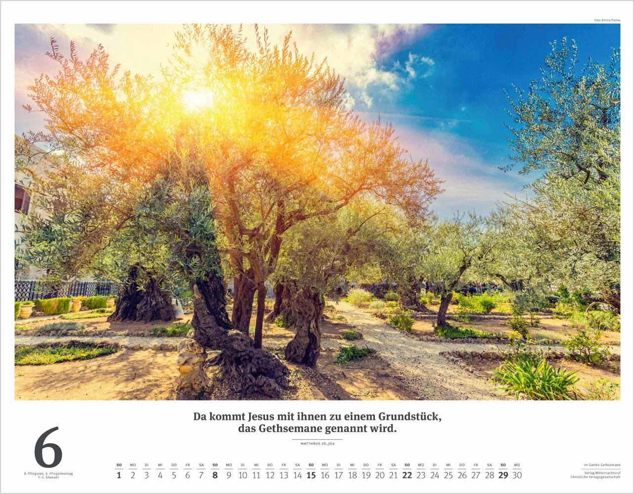 Israel 2025 - Wandkalender (Weiß)