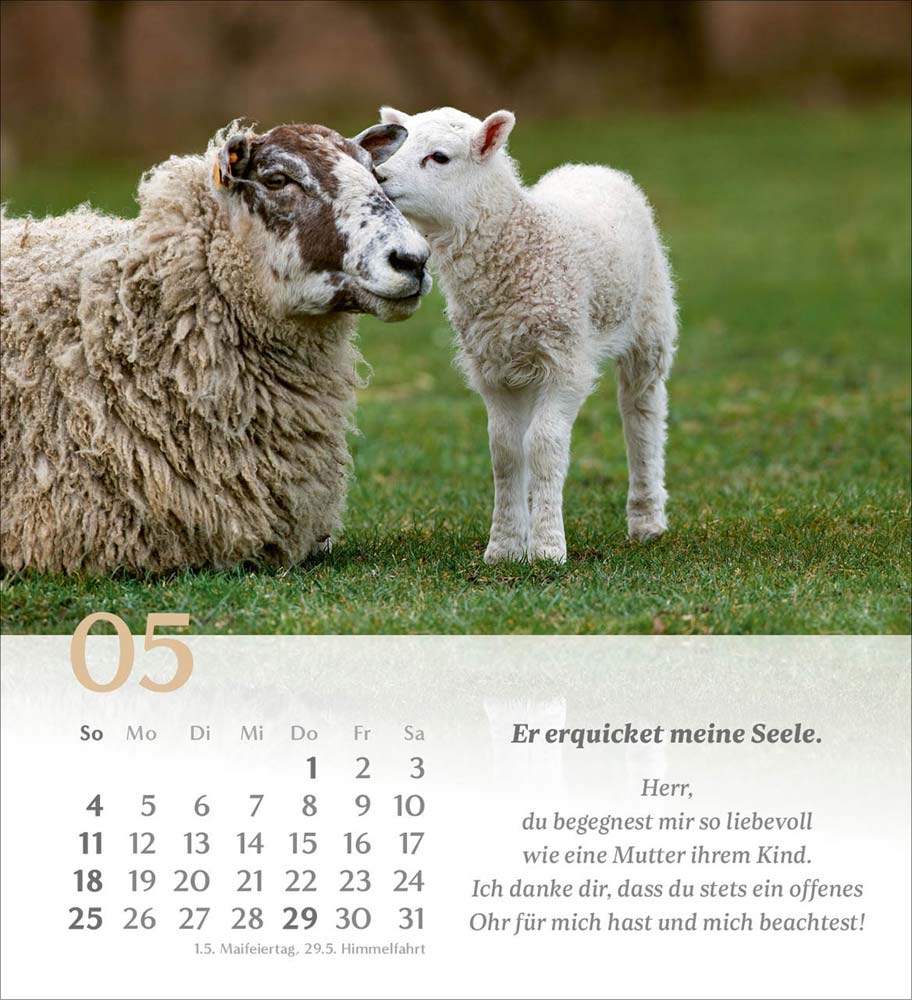 Psalm 23 - Tischkalender 2025