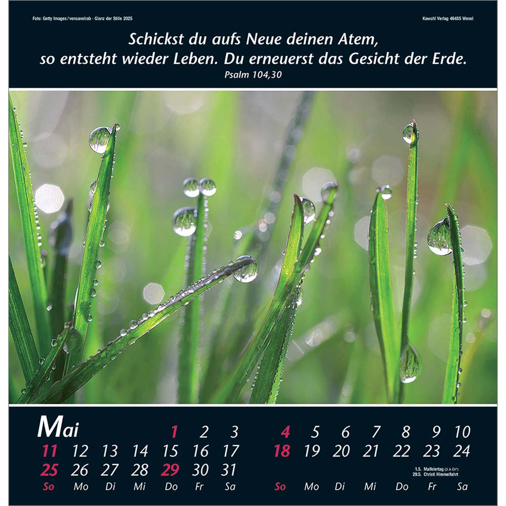 Glanz der Stille 2025 - Wandkalender