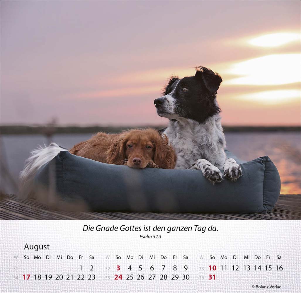 Hunde 2025 - Tischkalender