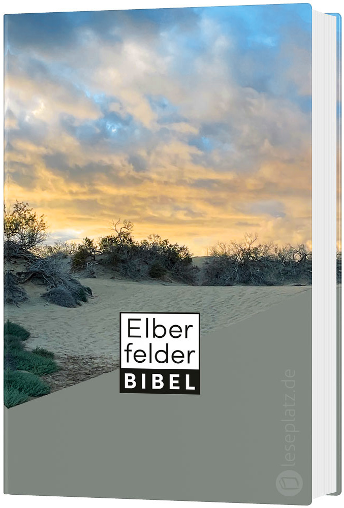 Elberfelder Bibel - Taschenausgabe - Motiv Dünen