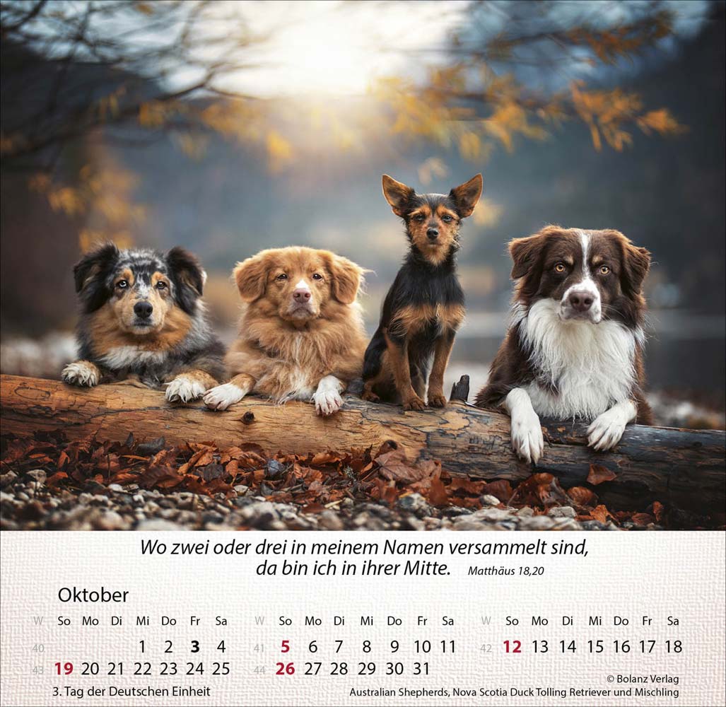 Hunde 2025 - Tischkalender