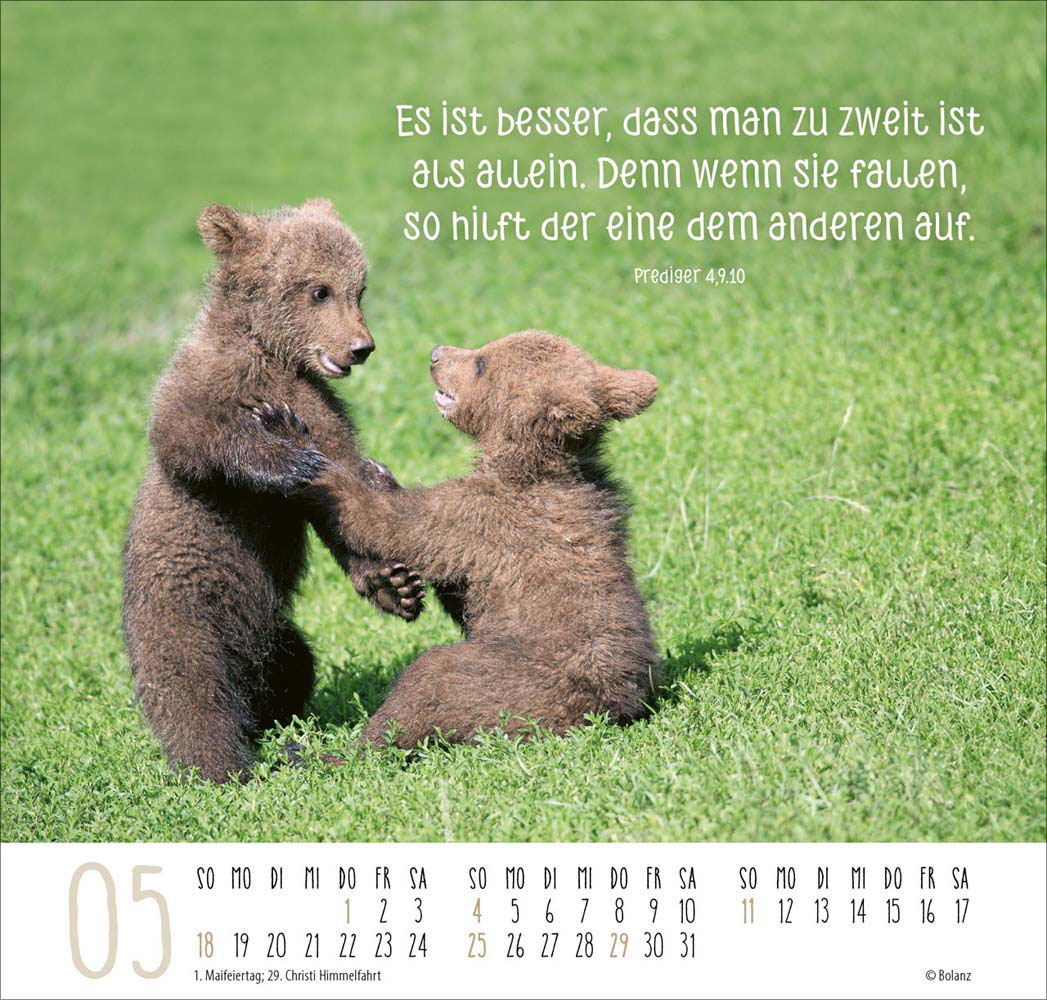 Beste Freunde - Ich mag dich  2025 - Posterkalender