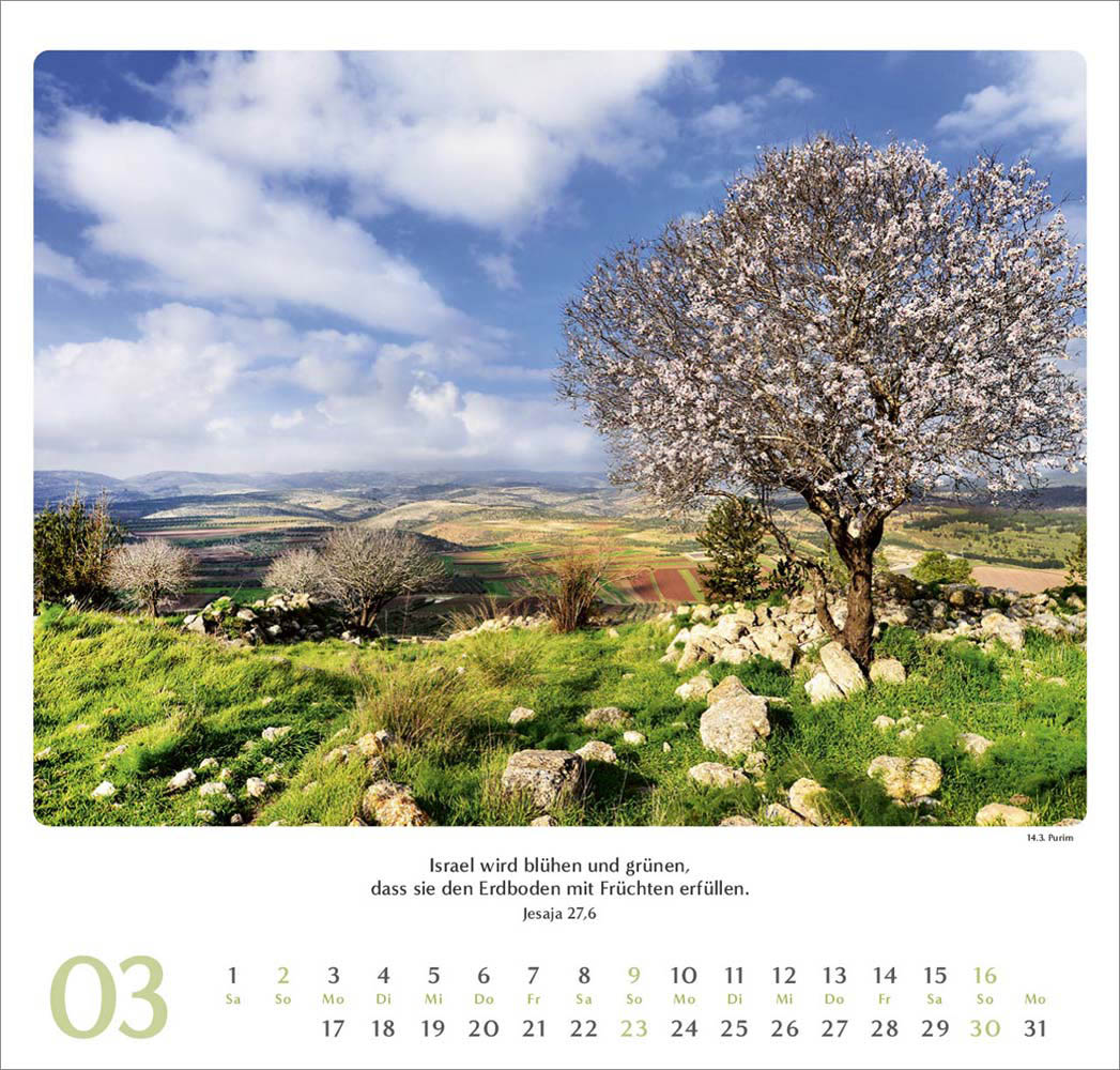 Geliebtes Israel 2025 - Wandkalender