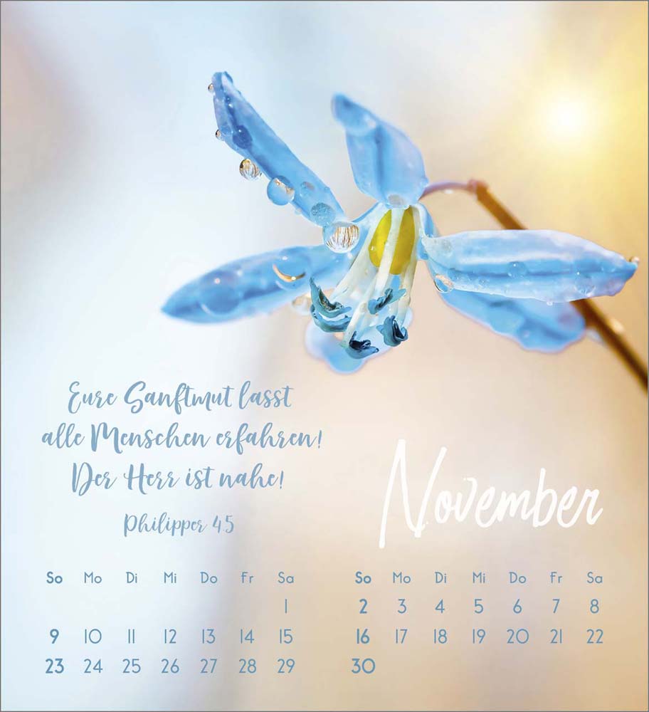 Zarte Blumengrüße 2025 - Tischkalender