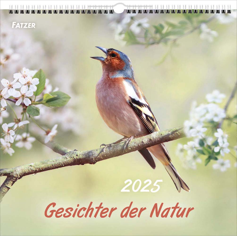 Gesichter der Natur 2025