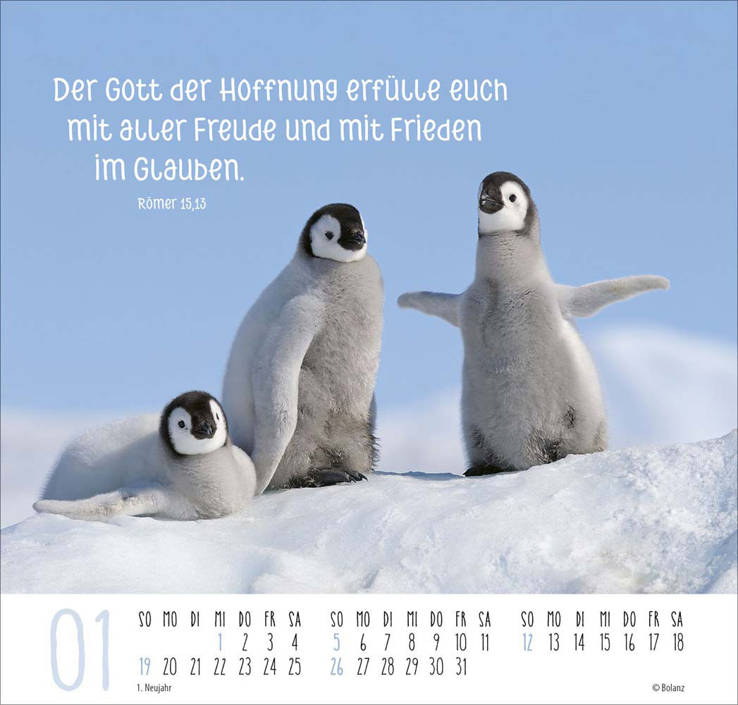 Beste Freunde - Ich mag dich  2025 - Posterkalender