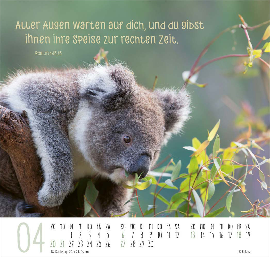 Beste Freunde - Ich mag dich  2025 - Posterkalender