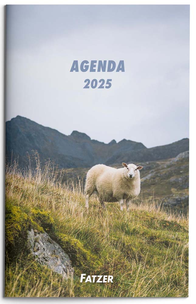 Agenda 2025